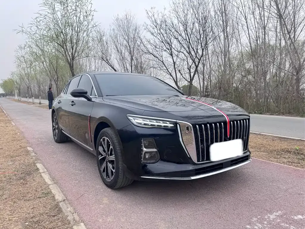 Hongqi H5 PHEV 2025 из CN, фото 6