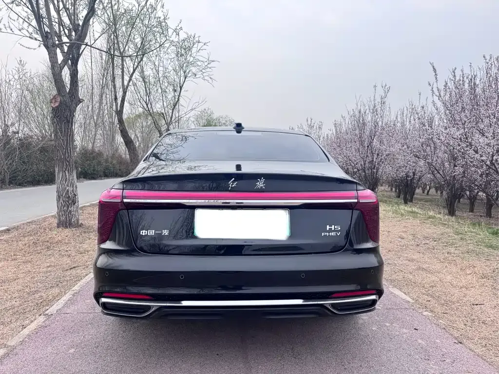 Hongqi H5 PHEV 2025 из CN, фото 5