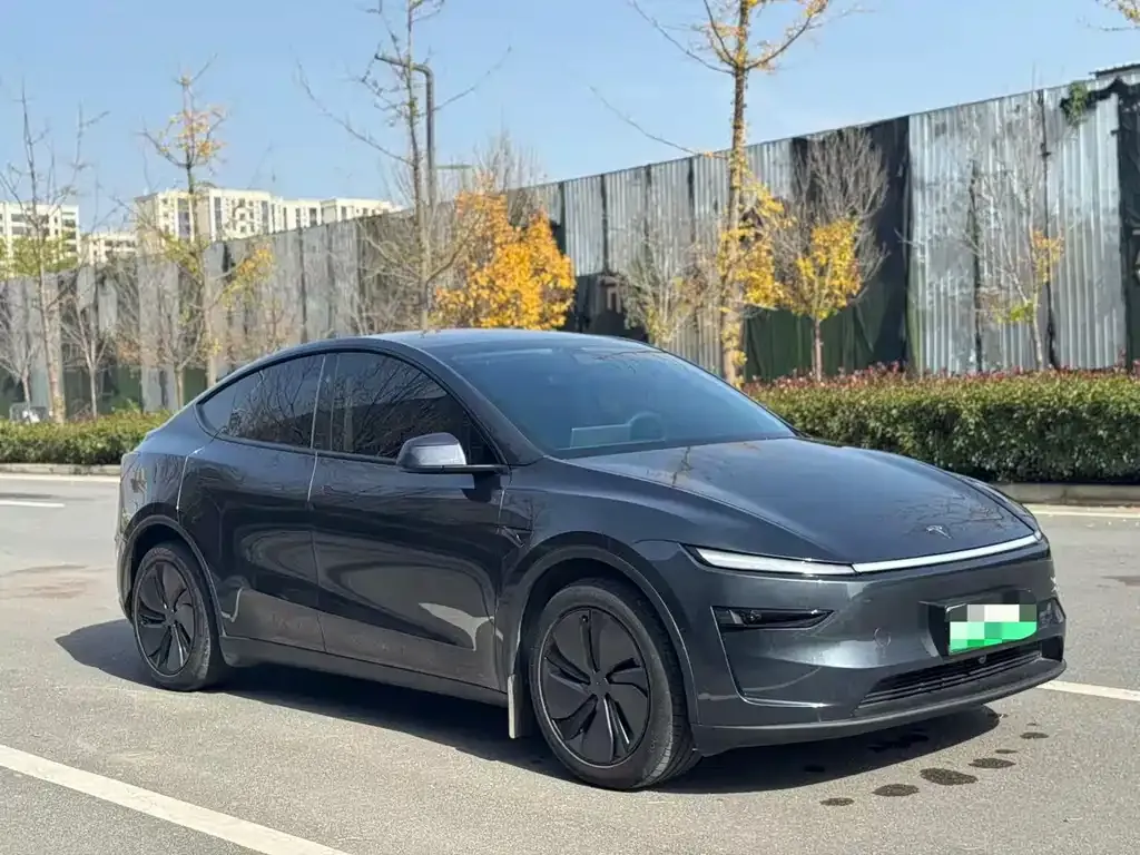 Tesla Model Y — фото 5