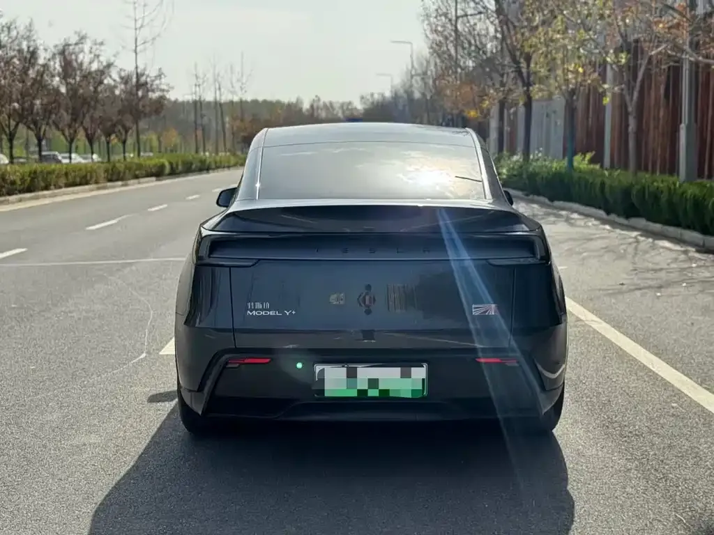 Tesla Model Y — фото 6