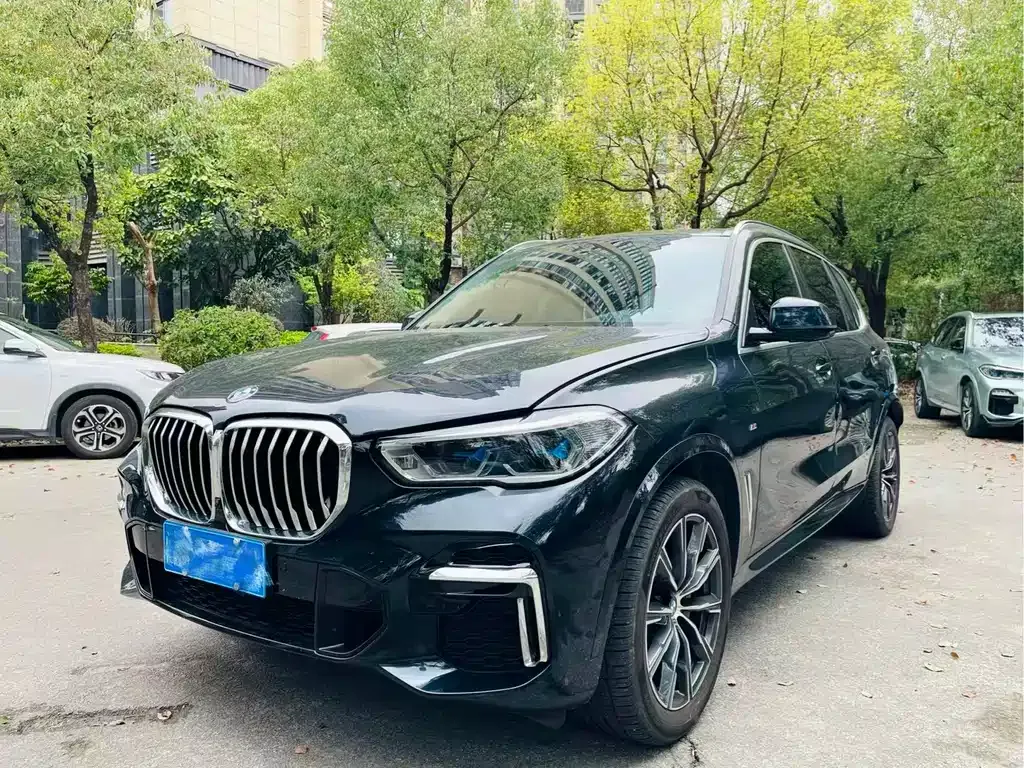 BMW X5 2022 из CN, фото 1