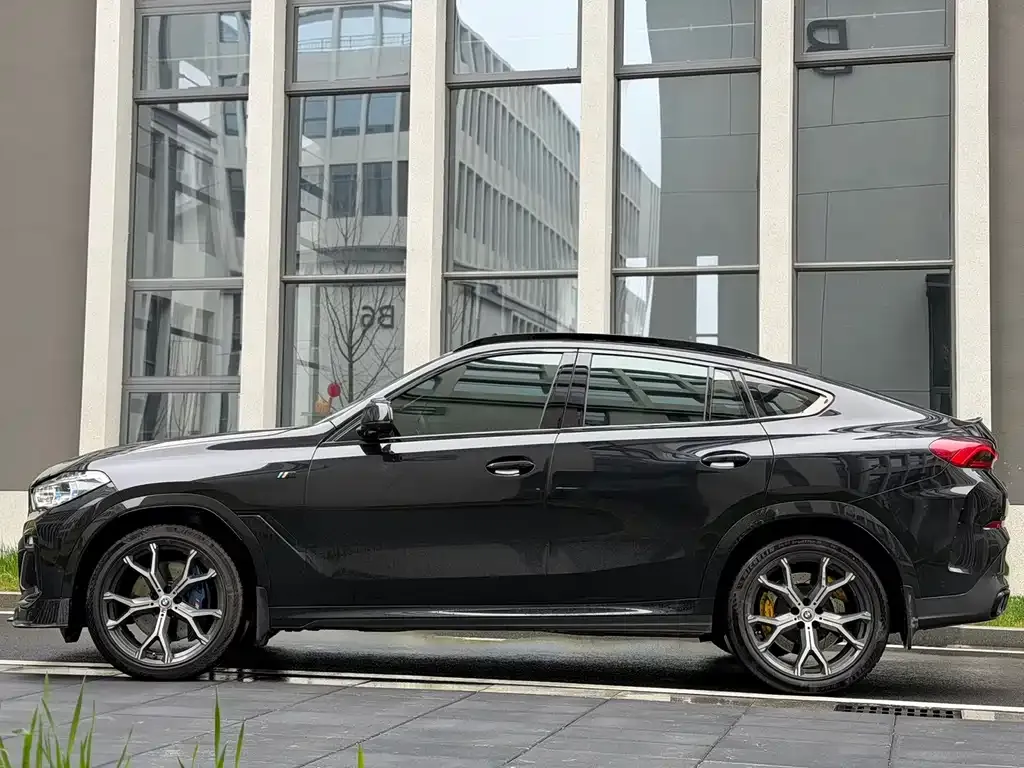 BMW X6 2021 из CN, фото 6