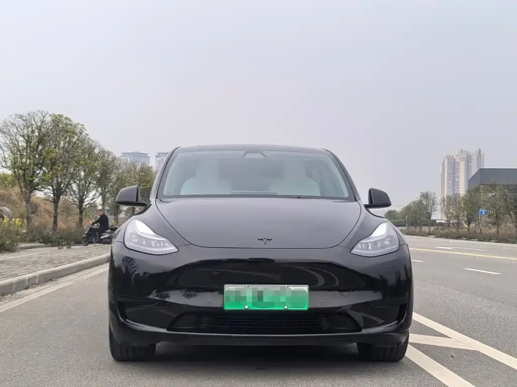 Tesla Model Y — фото 2