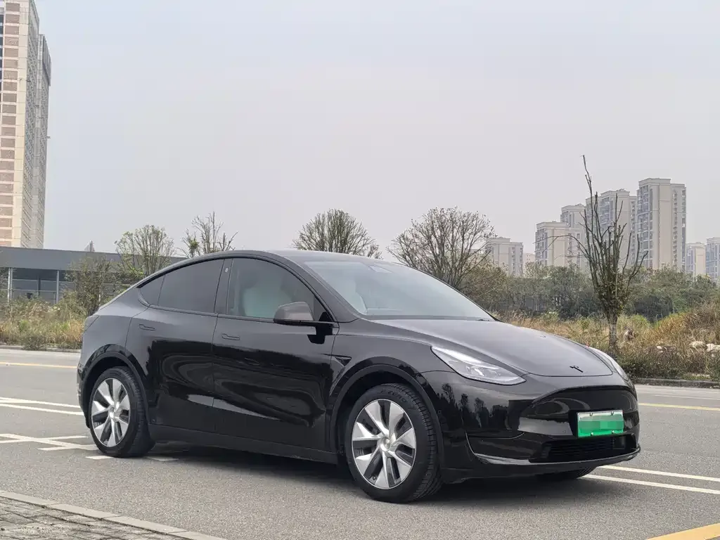 Tesla Model Y — фото 3