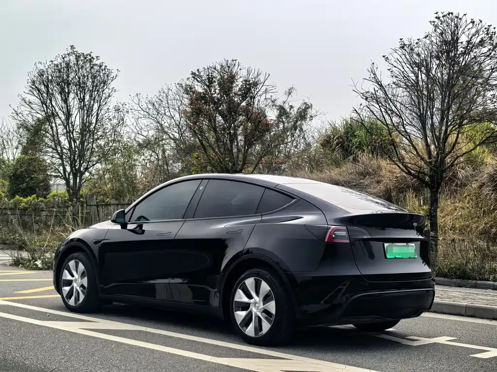 Tesla Model Y — фото 8