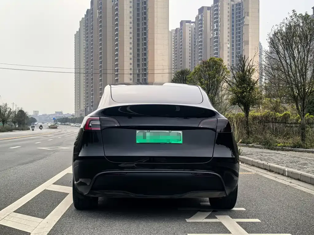 Tesla Model Y — фото 4