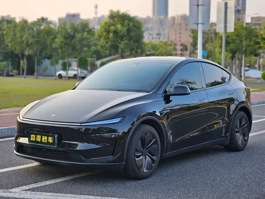 Tesla Model Y 2025 из CN, фото 1