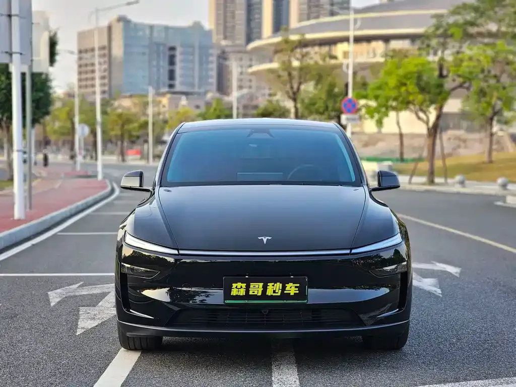 Tesla Model Y 2025 из CN, фото 3