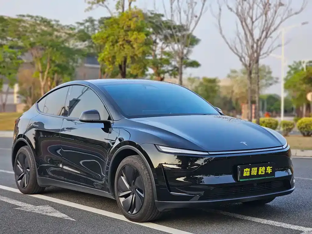 Tesla Model Y 2025 из CN, фото 2
