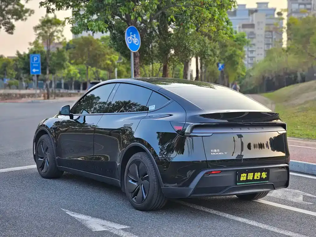 Tesla Model Y 2025 из CN, фото 7