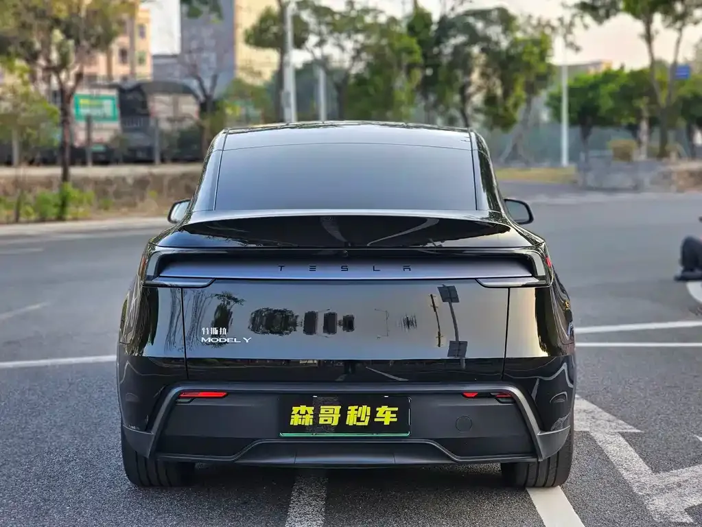 Tesla Model Y 2025 из CN, фото 4