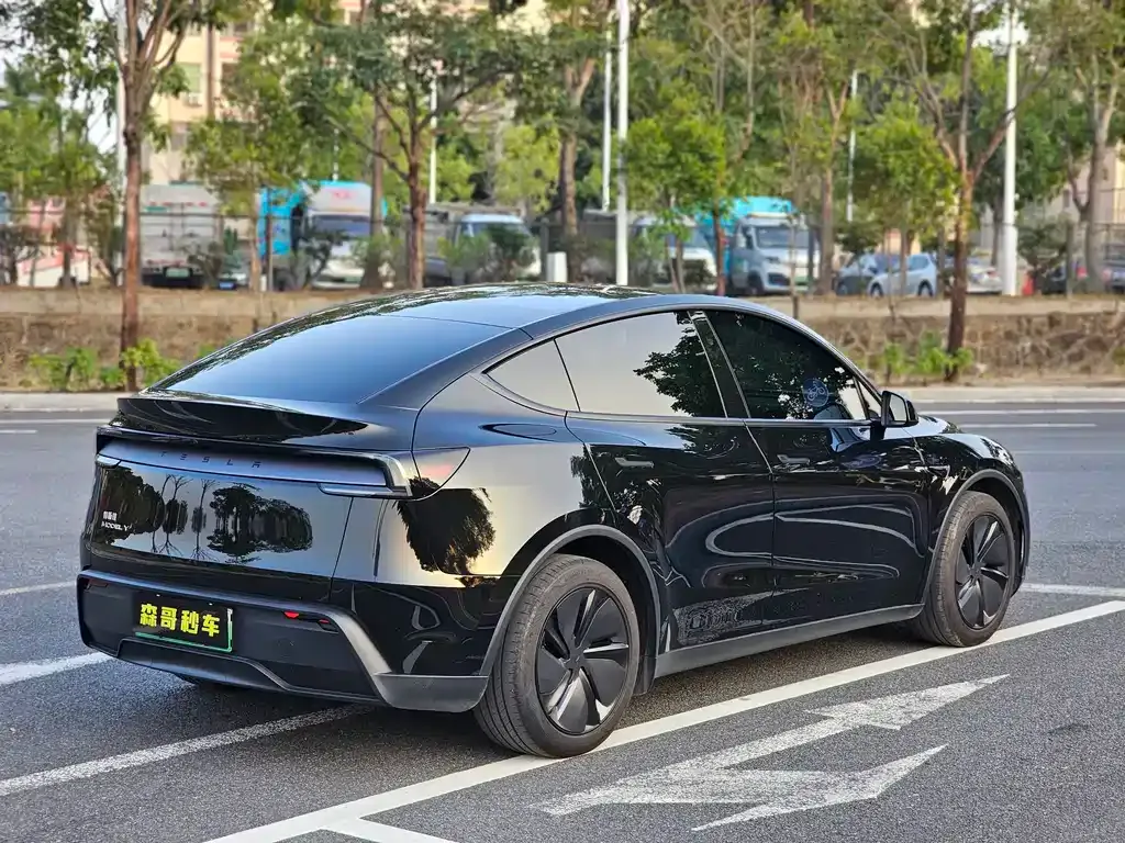 Tesla Model Y 2025 из CN, фото 6