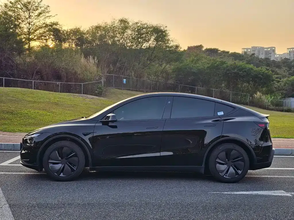 Tesla Model Y 2025 из CN, фото 9