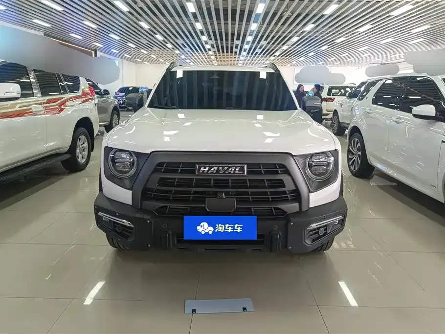 Haval Big Dog — фото 9