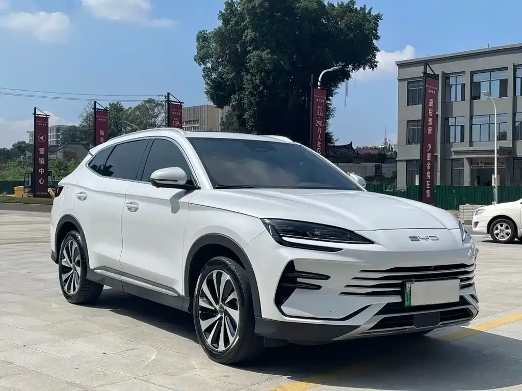 BYD PLUS New Energy — фото 9