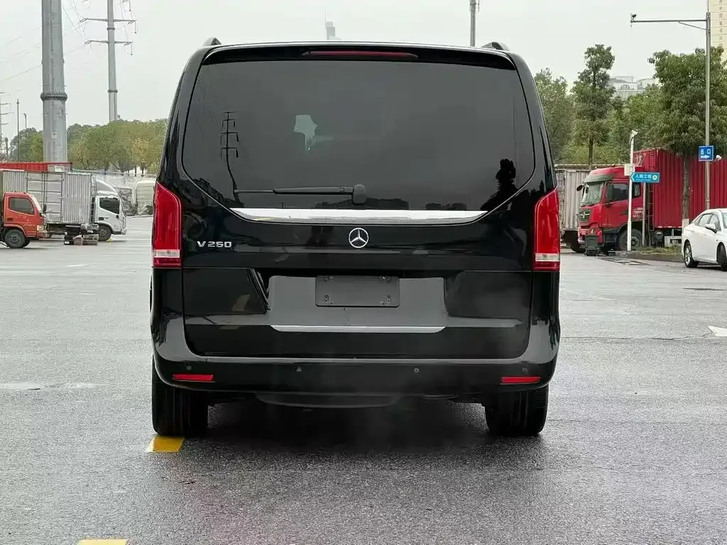 Mercedes-Benz V-Class 2021 из CN, фото 9