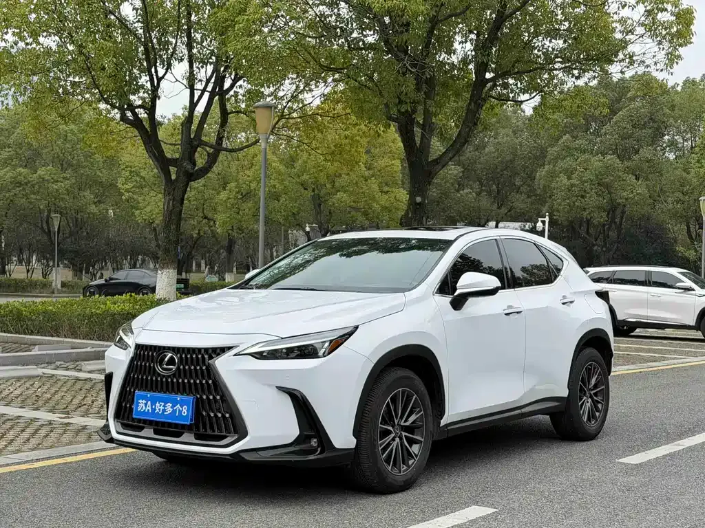 Lexus NX 2022 из CN, фото 1