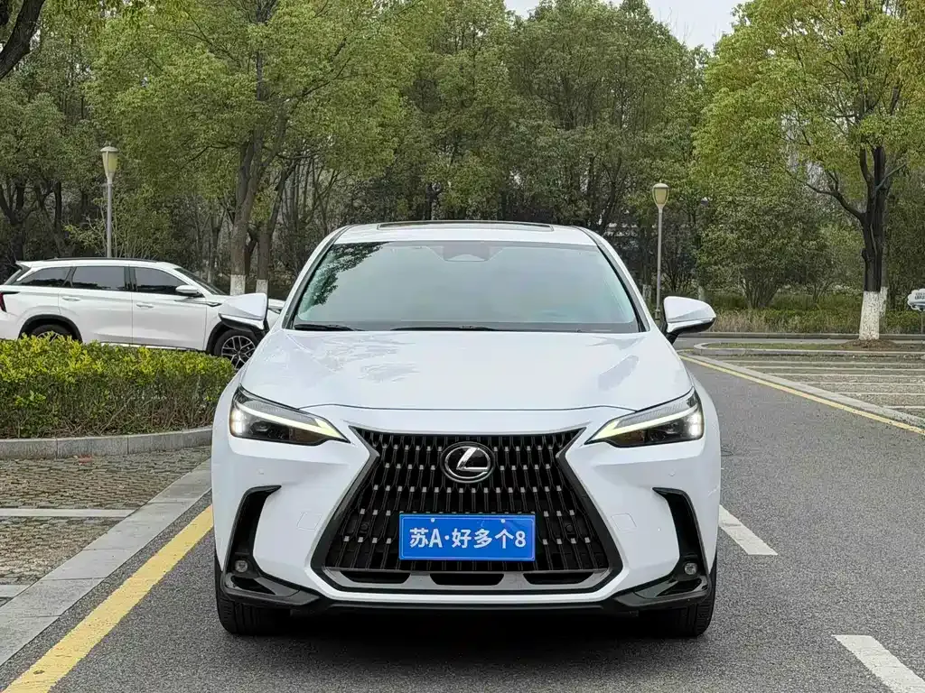 Lexus NX 2022 из CN, фото 10