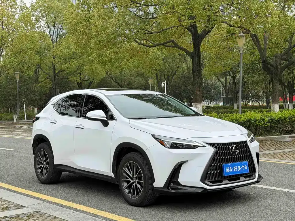 Lexus NX 2022 из CN, фото 8