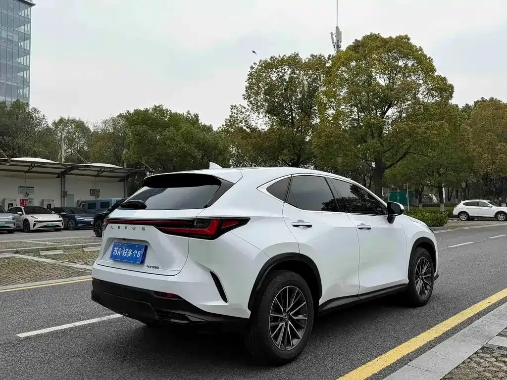 Lexus NX 2022 из CN, фото 4