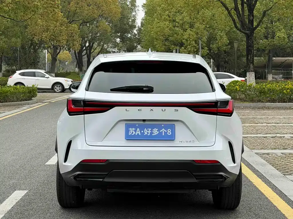Lexus NX 2022 из CN, фото 9