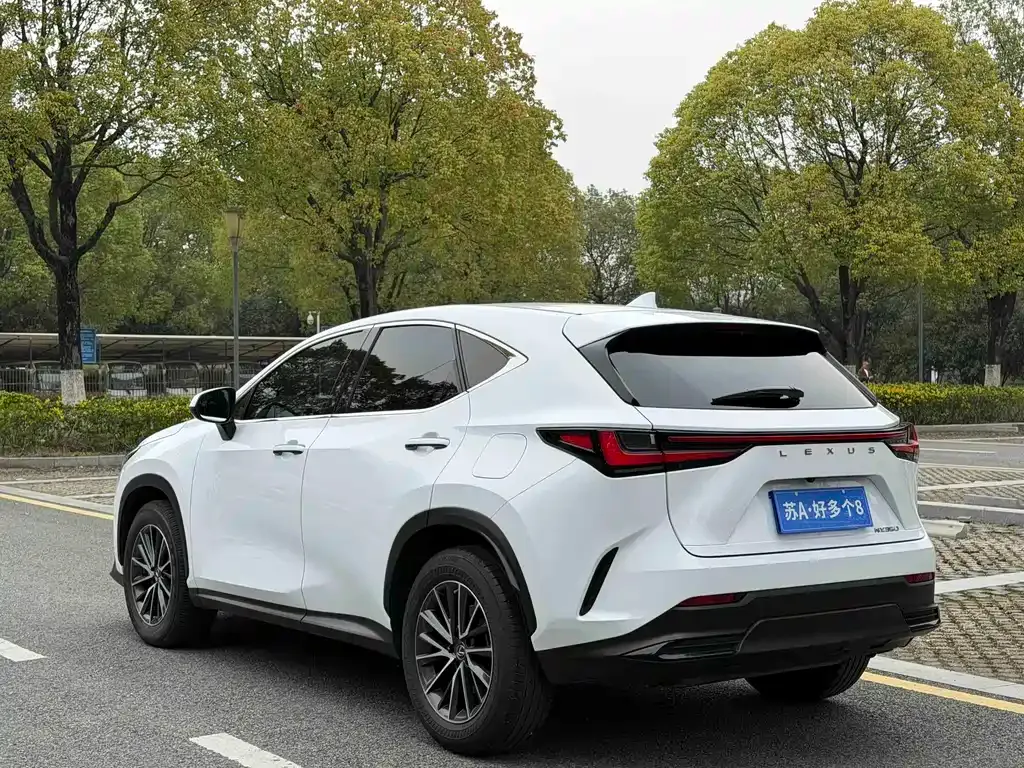 Lexus NX 2022 из CN, фото 5