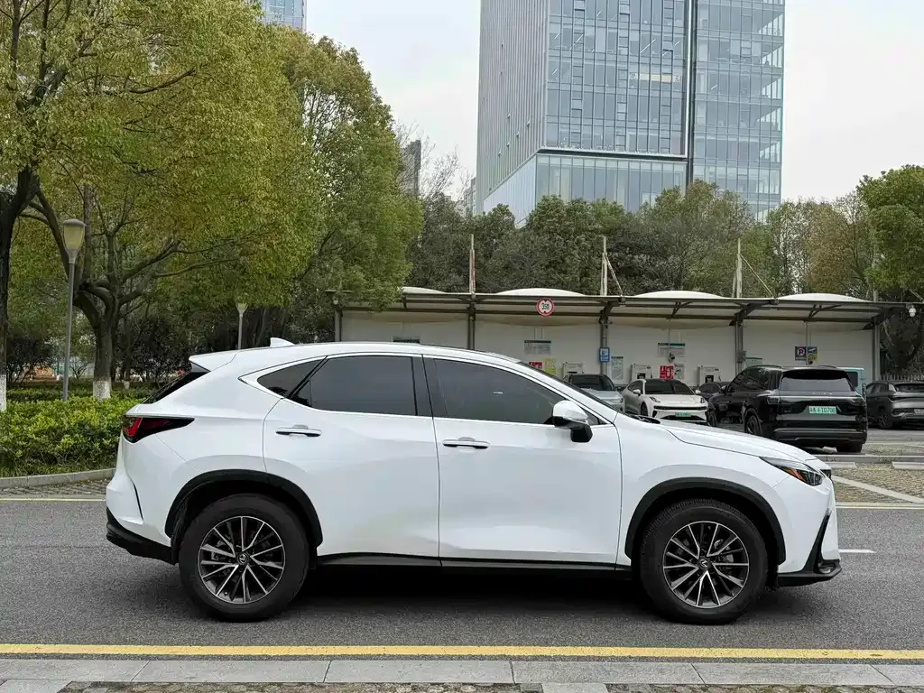 Lexus NX 2022 из CN, фото 7