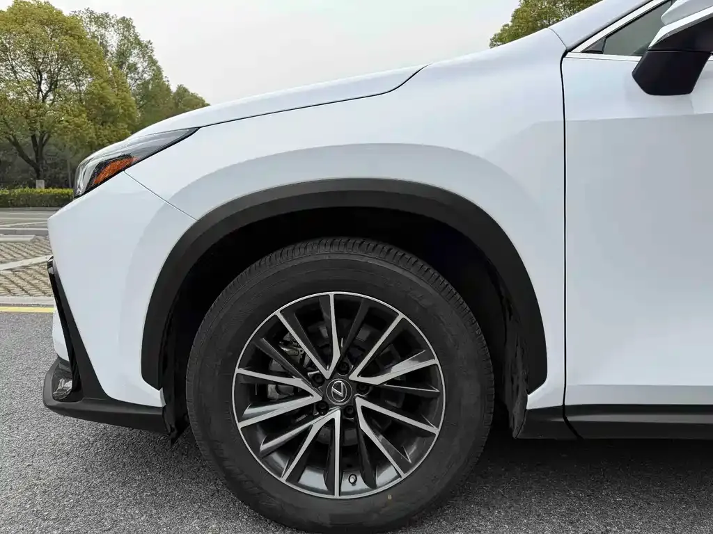 Lexus NX 2022 из CN, фото 3