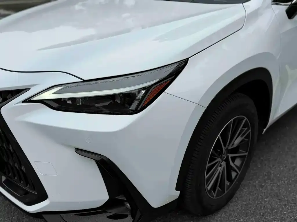 Lexus NX 2022 из CN, фото 2