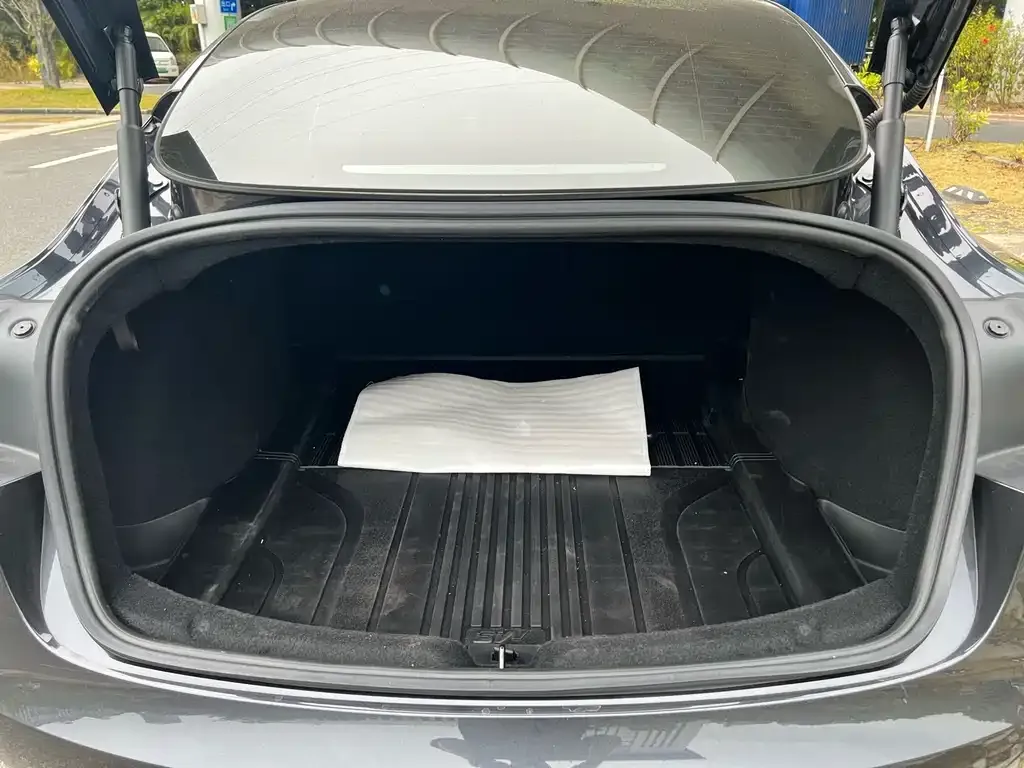 Tesla Model 3 2024 из CN, фото 2