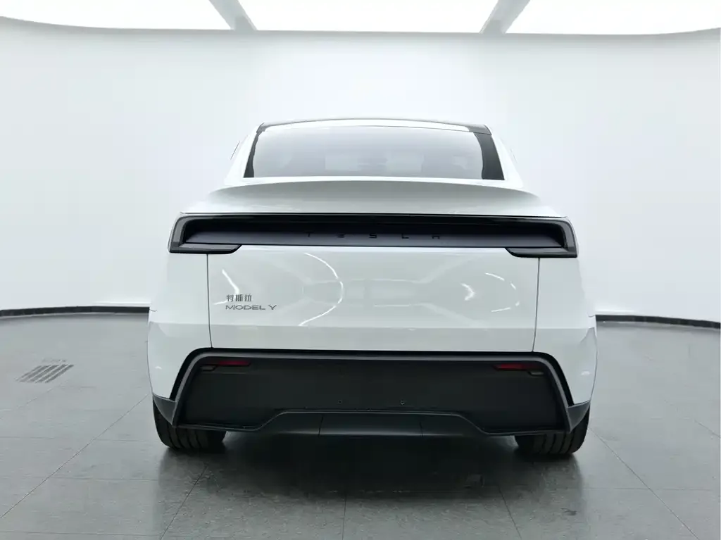 Tesla Model Y — фото 5