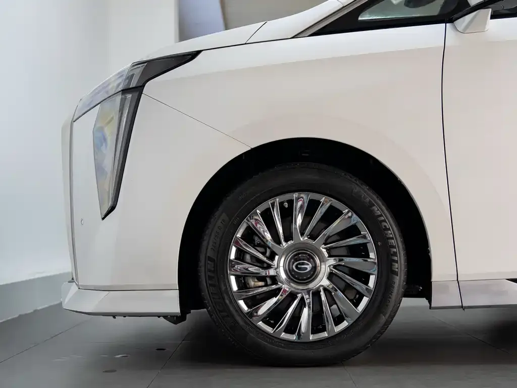 GAC Motor Trumpchi M8 2023 из CN, фото 7