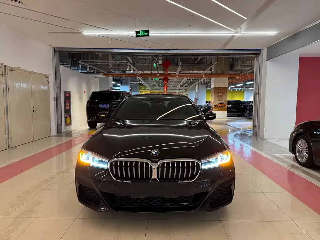 BMW 5 Series 2022 из CN, фото 3