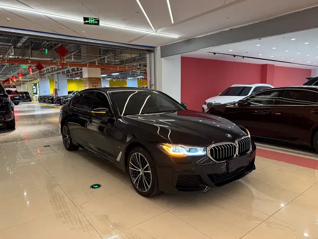 BMW 5 Series 2022 из CN, фото 6
