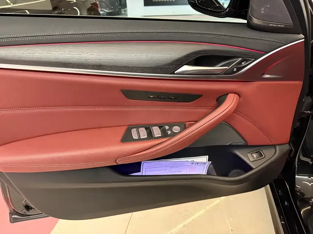 BMW 5 Series 2022 из CN, фото 5
