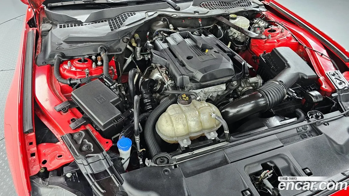 Ford Mustang 2022 из KR, фото 8