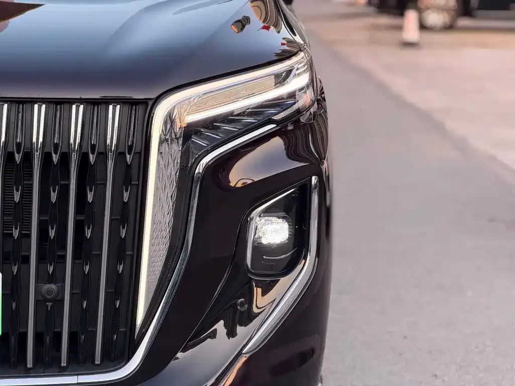 Hongqi HQ9 PHEV 2024 из CN, фото 6