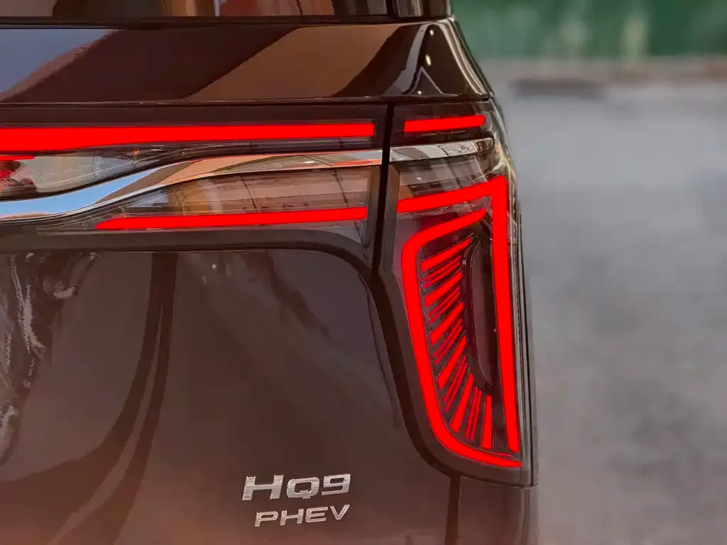 Hongqi HQ9 PHEV 2024 из CN, фото 4