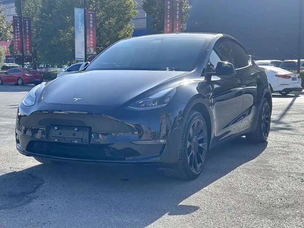 Tesla Model Y — фото 1