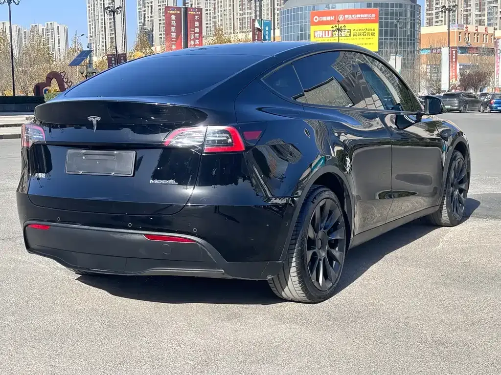 Tesla Model Y — фото 2