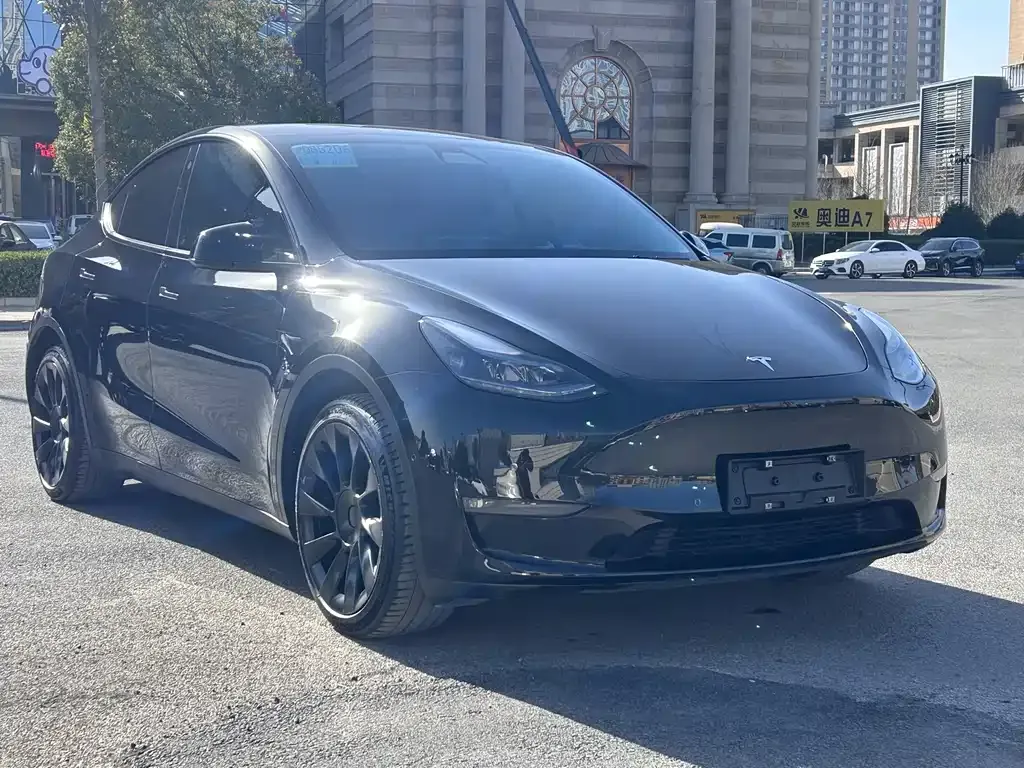 Tesla Model Y — фото 10