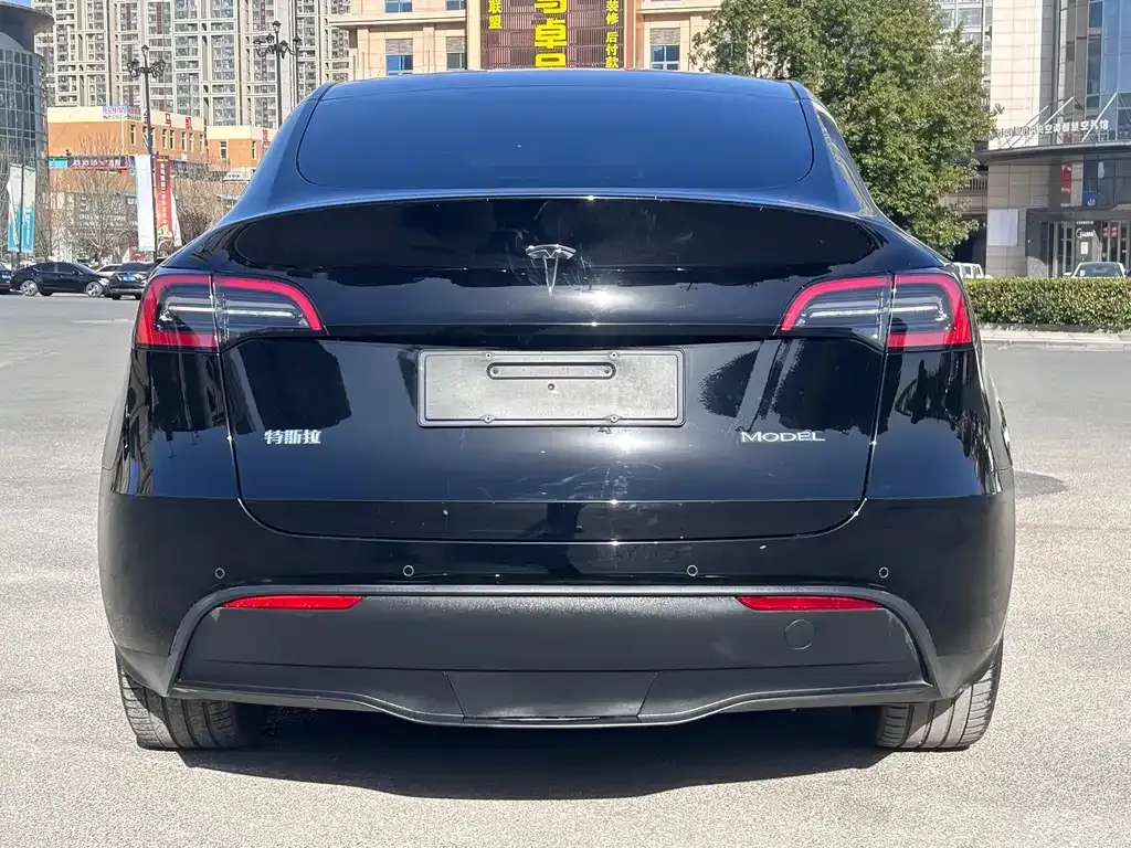 Tesla Model Y — фото 7