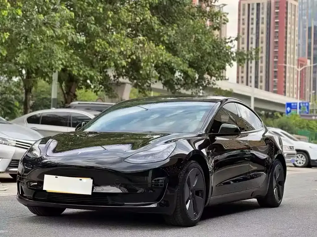 Tesla Model 3 2021 из CN, фото 1