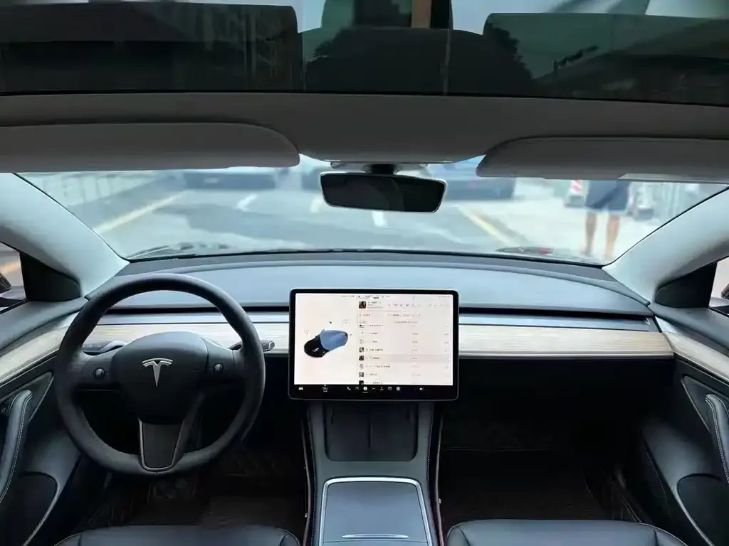 Tesla Model 3 2021 из CN, фото 4