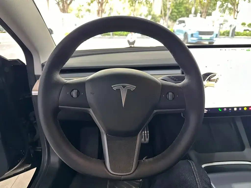 Tesla Model 3 2021 из CN, фото 5