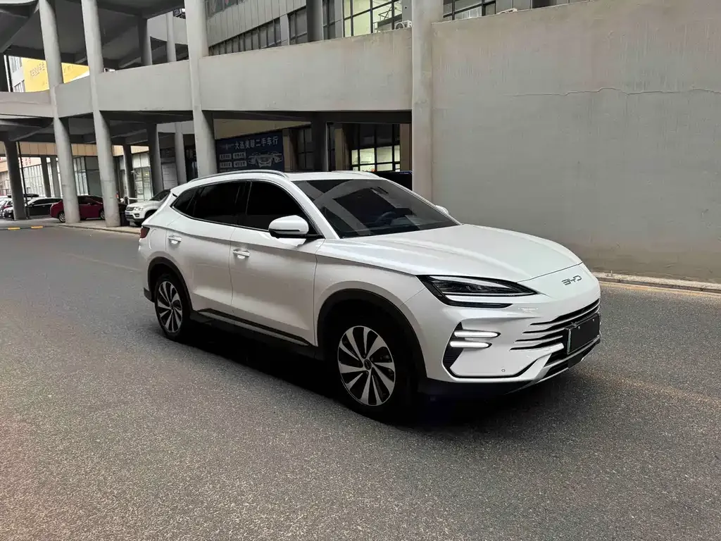 BYD PLUS New Energy — фото 9