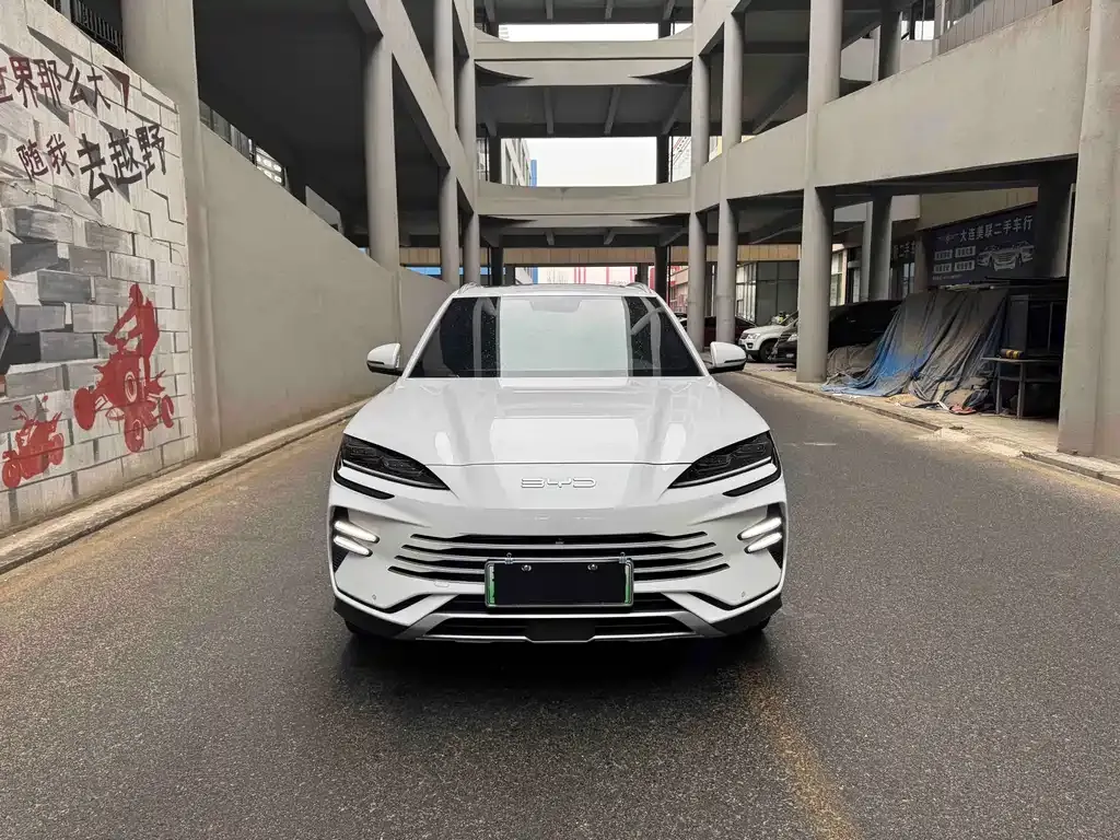 BYD PLUS New Energy — фото 7