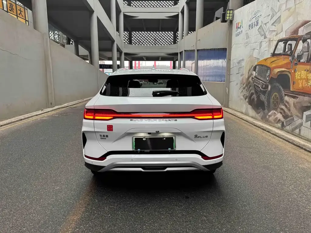 BYD PLUS New Energy — фото 6