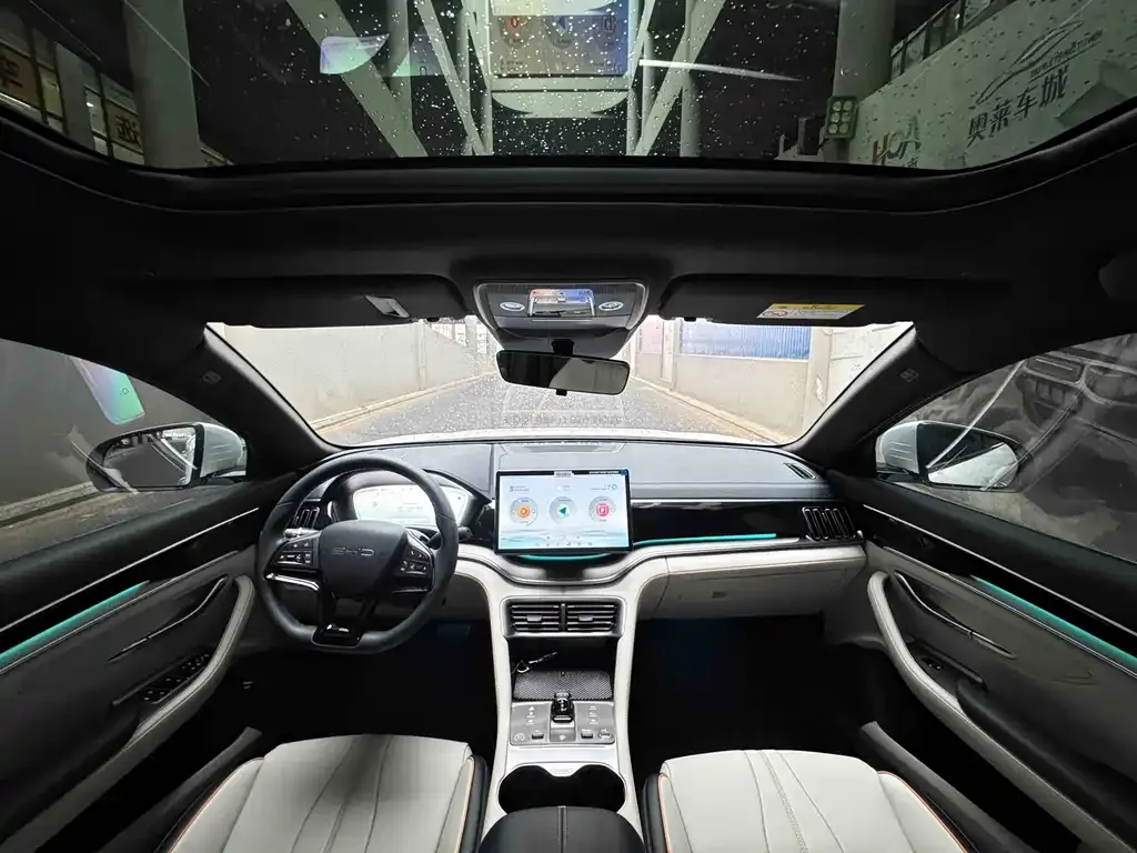 BYD PLUS New Energy — фото 8