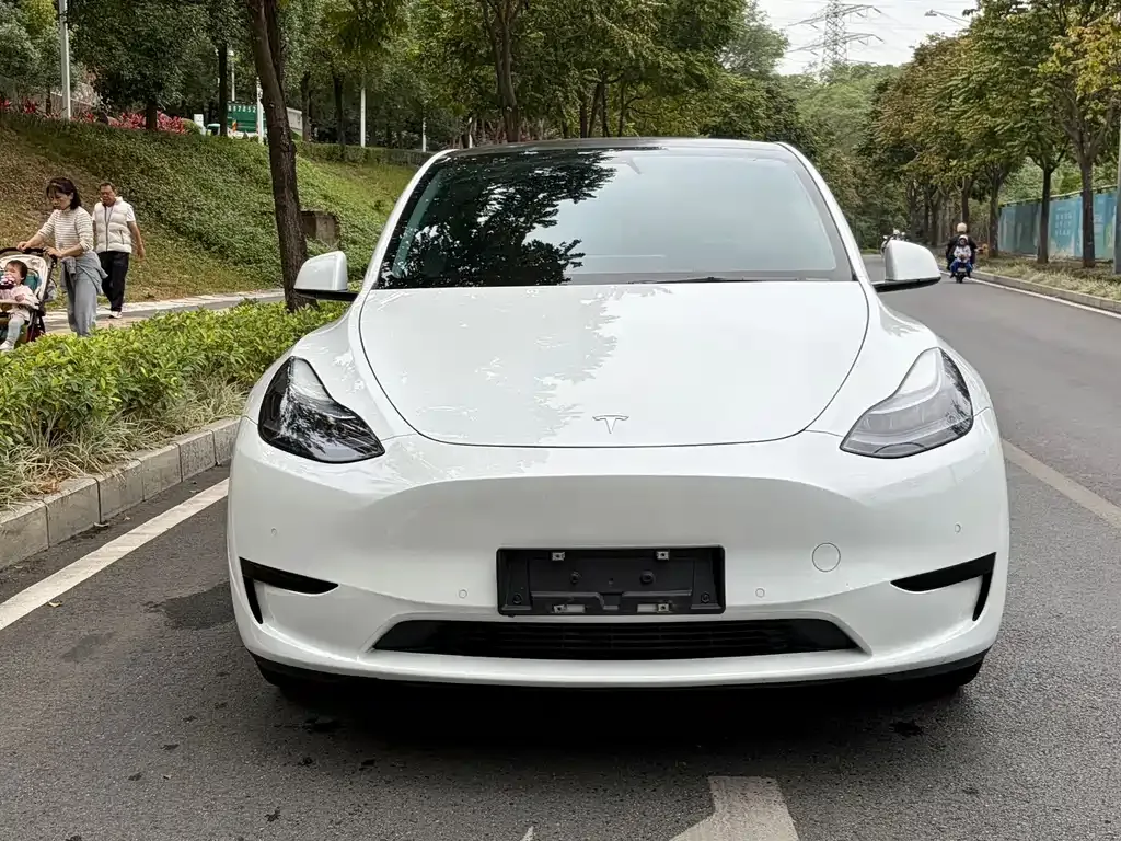 Tesla Model Y — фото 5